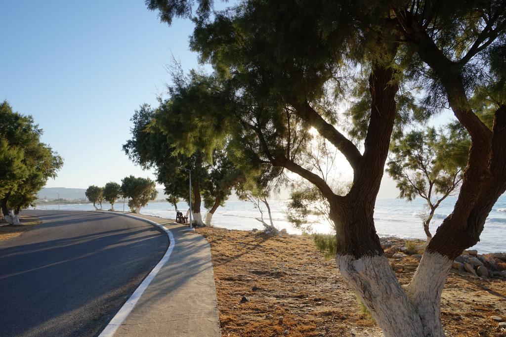 הוילה Tavronitis Oasea מראה חיצוני תמונה